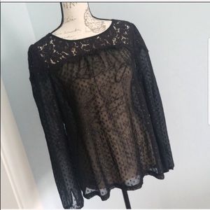 Elle Long Sleeve Top